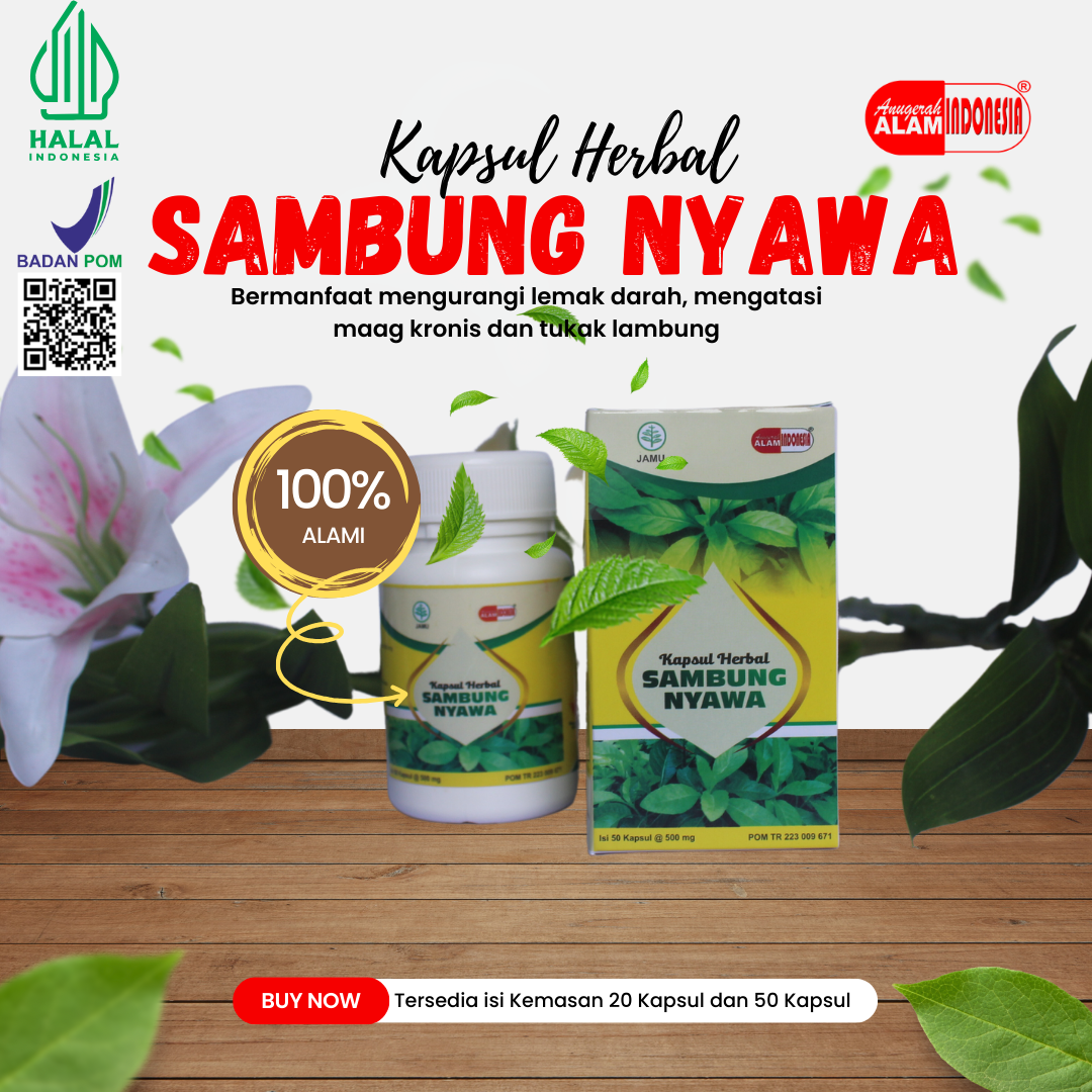 Sambung Nyawa (Kapsul)